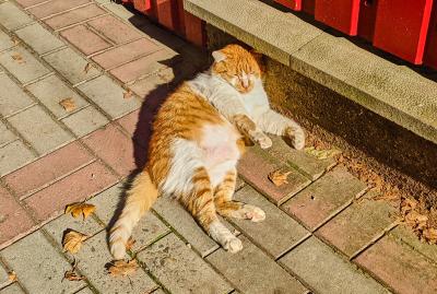 Прикрепленное изображение: 2021-09-04 16-29-20-11.jpg